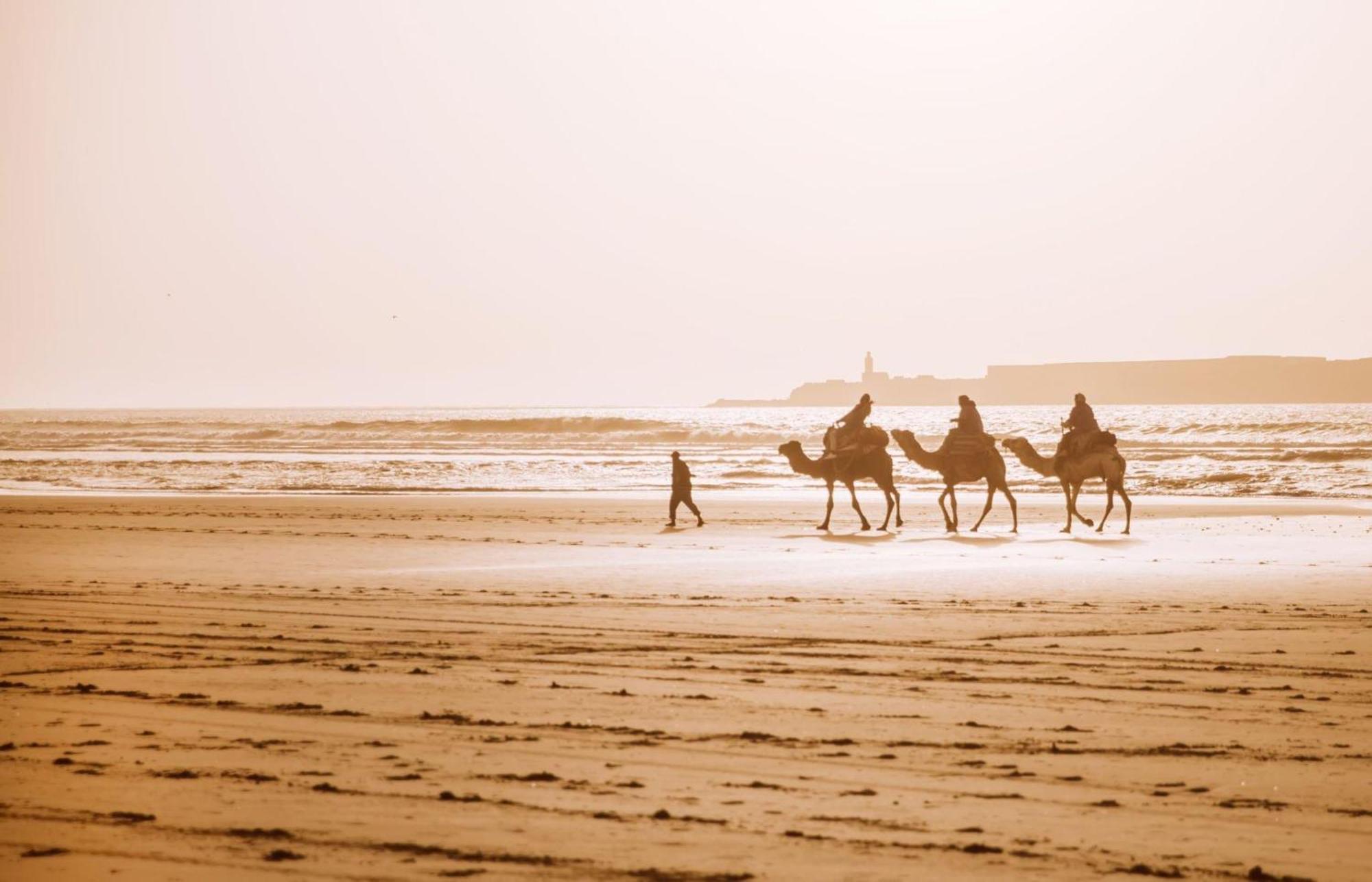 Aliya Luxury - Premium - Agadir